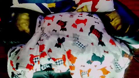 Sunny Marcie online show from February 2025 05:03:02 PM