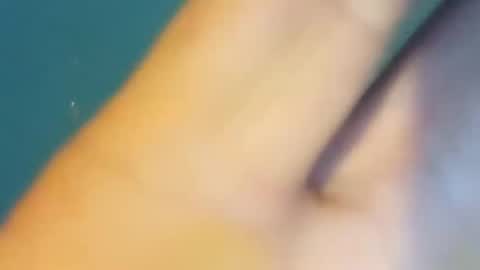 Snapshot of sunsweetsavage chatting on December 2024 05:07:02 AM BIGDGEE online show from December 2024 05:07:02 AM