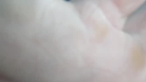 Snapshot of sunsweetsavage chatting on October 2025 04:41:01 PM BIGDGEE online show from October 2025 04:41:01 PM