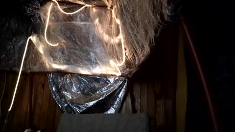 Snapshot of super_jony chatting on October 2025 02:17:01 AM super jony and Marta GMT 1300-1800 every day online show from October 2025 02:17:01 AM