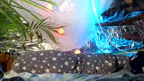 Snapshot of super_jony chatting on October 2025 09:51:01 AM super jony and Marta GMT 1300-1800 every day online show from October 2025 09:51:01 AM