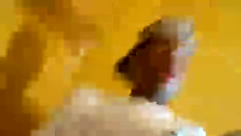 Snapshot of superbj245 chatting on June 2026 08:23:01 AM superbj245 online show from June 2026 08:23:01 AM