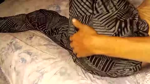 Snapshot of superdavedetailzz2025 chatting on September 2025 06:37:01 AM superdavedetailzz2025 online show from September 2025 06:37:01 AM