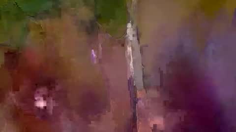 supersmoka119 online show from December 2025 04:08:02 AM