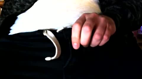 Snapshot of superstuntman1 chatting on February 2025 07:36:02 AM superstuntman1 online show from February 2025 07:36:02 AM