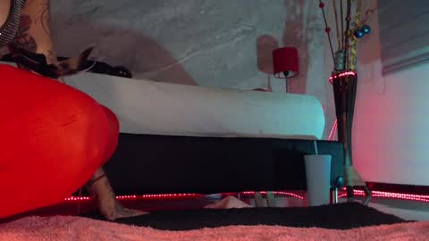 Snapshot of susan_hottie_ chatting on December 2024 10:54:02 PM online show from December 2024 10:54:02 PM