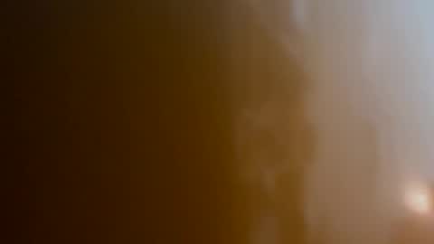 tylorgerman online show from January 2026 12:14:02 AM