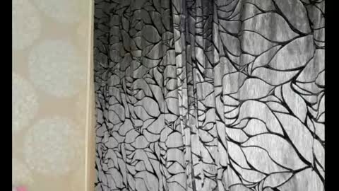 S online show from February 2025 12:57:01 AM