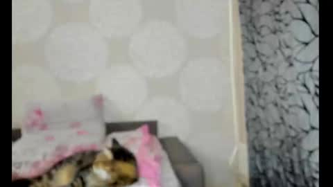 S online show from February 2025 10:55:02 AM