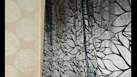 S online show from February 2025 12:54:01 AM