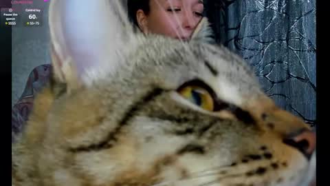 S online show from March 2025 03:54:01 AM