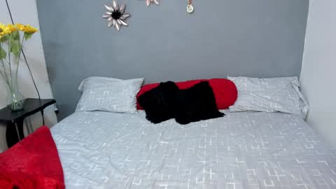 Sweet Amanda95 online show from December 2024 12:16:02 PM
