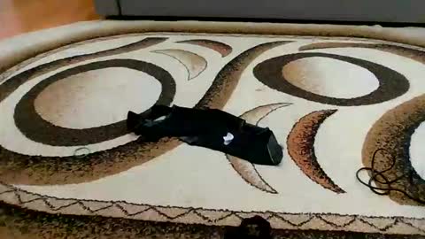 Sweet bluegirl online show from March 2026 11:45:02 PM