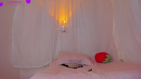 camil online show from September 2025 04:23:01 AM