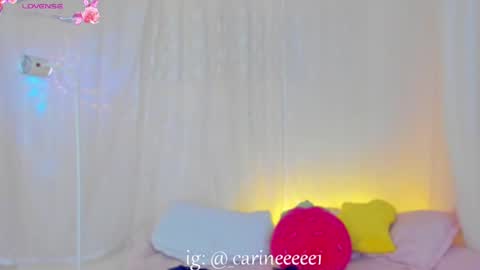 camil online show from October 2025 05:41:02 AM