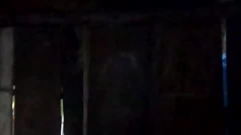 sweet_nessa30 online show from February 2026 06:17:01 AM