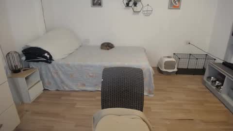 angel 3 online show from December 2024 08:44:02 AM