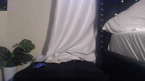 your favourite berry online show from May 2026 12:01:01 PM