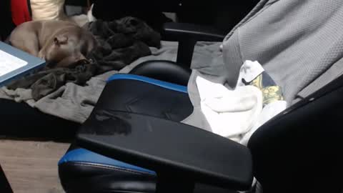 Snapshot of sweetgesus chatting on November 2025 03:57:01 PM sweetgesus online show from November 2025 03:57:01 PM