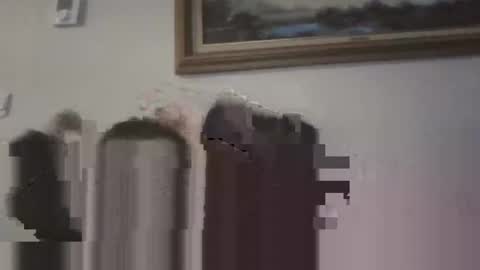 Snapshot of sweetguyss12 chatting on November 2025 09:09:01 PM sweetguyss12 online show from November 2025 09:09:01 PM