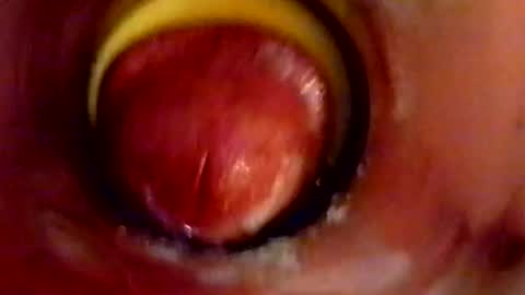 sweetkreme69 online show from October 2025 02:55:02 AM