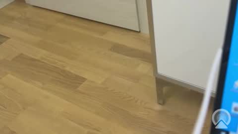 sweetlovelyladylove online show from April 2026 08:32:01 AM