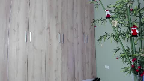    online show from December 2024 11:02:02 PM