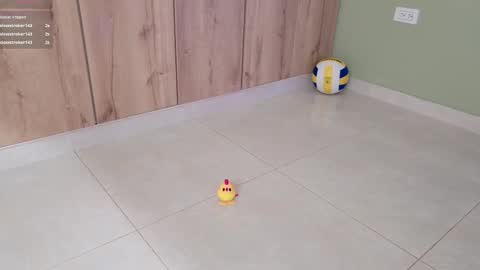    online show from February 2025 10:39:01 PM