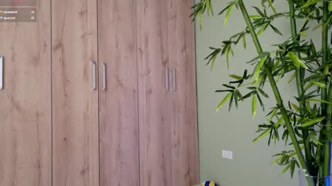    online show from February 2025 04:26:01 PM