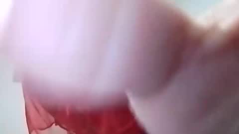 sweetwendi15 online show from February 2025 02:04:02 AM