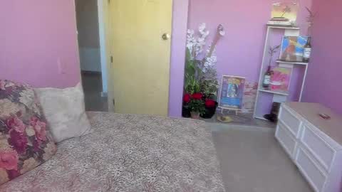 swettcabol online show from January 2025 06:56:01 PM