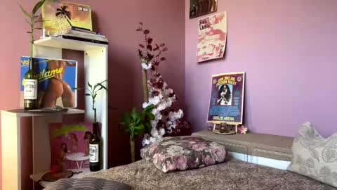 swettcabol online show from January 2025 05:35:02 PM