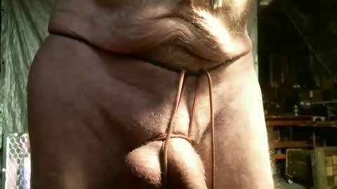 switchngears online show from February 2025 09:59:02 AM