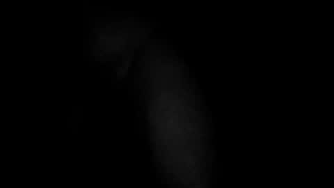 Snapshot of swollpole2112 chatting on March 2026 05:01:02 AM swollpole2112 online show from March 2026 05:01:02 AM