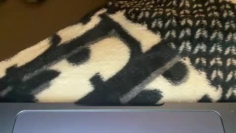 sydneysweetsins online show from June 2026 02:54:02 AM