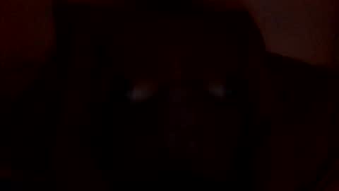 syiatonite online show from March 2026 11:43:02 AM