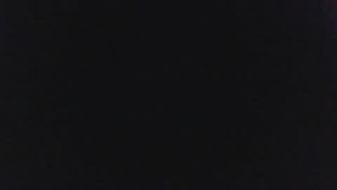 sylvertaurus1 online show from October 2025 11:55:02 AM