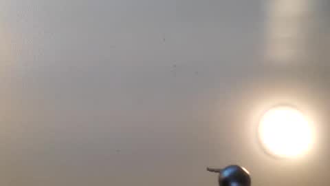 Snapshot of t2thaj1313 chatting on January 2025 01:05:02 PM MR BIG online show from January 2025 01:05:02 PM