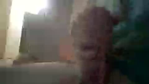 Snapshot of ta_84 chatting on July 2026 10:38:02 PM ta_84 online show from July 2026 10:38:02 PM