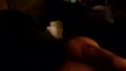 Snapshot of talldrink62 chatting on October 2025 10:43:02 AM The Man of Steel online show from October 2025 10:43:02 AM