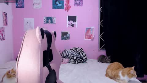 Snapshot of tamako_kitty__ chatting on December 2024 06:02:02 AM Alejandra Independent model online show from December 2024 06:02:02 AM