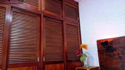    online show from November 2025 12:43:02 AM