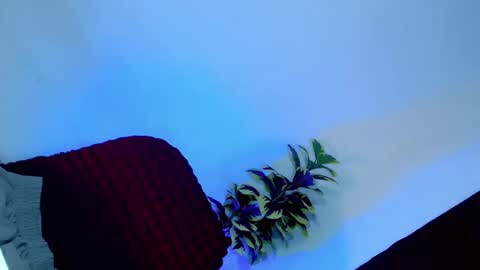 tamera_cummer0969 online show from November 2025 07:57:01 PM