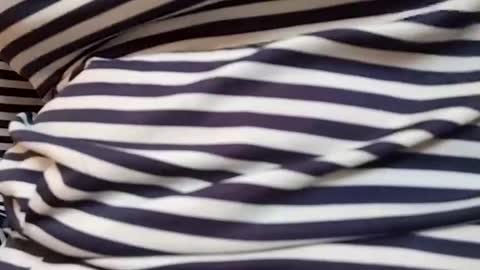 taniya_roy4628 online show from March 2026 04:14:01 AM