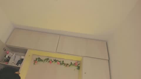  T A R A  online show from December 2025 04:21:01 AM