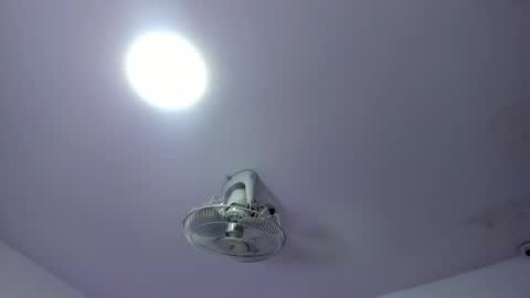 tatiana_arboleda online show from September 2025 11:11:02 AM