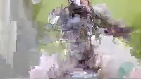 Snapshot of tattoo3333 chatting on September 2025 02:38:02 PM tattoo3333 online show from September 2025 02:38:02 PM