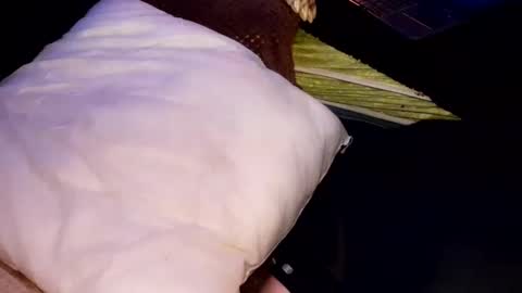 Jean pool online show from October 2025 06:58:01 AM