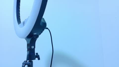 TAYLOR  online show from November 2025 11:53:02 AM