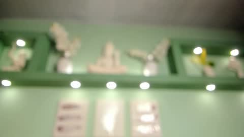 taylor online show from January 2026 01:58:01 PM